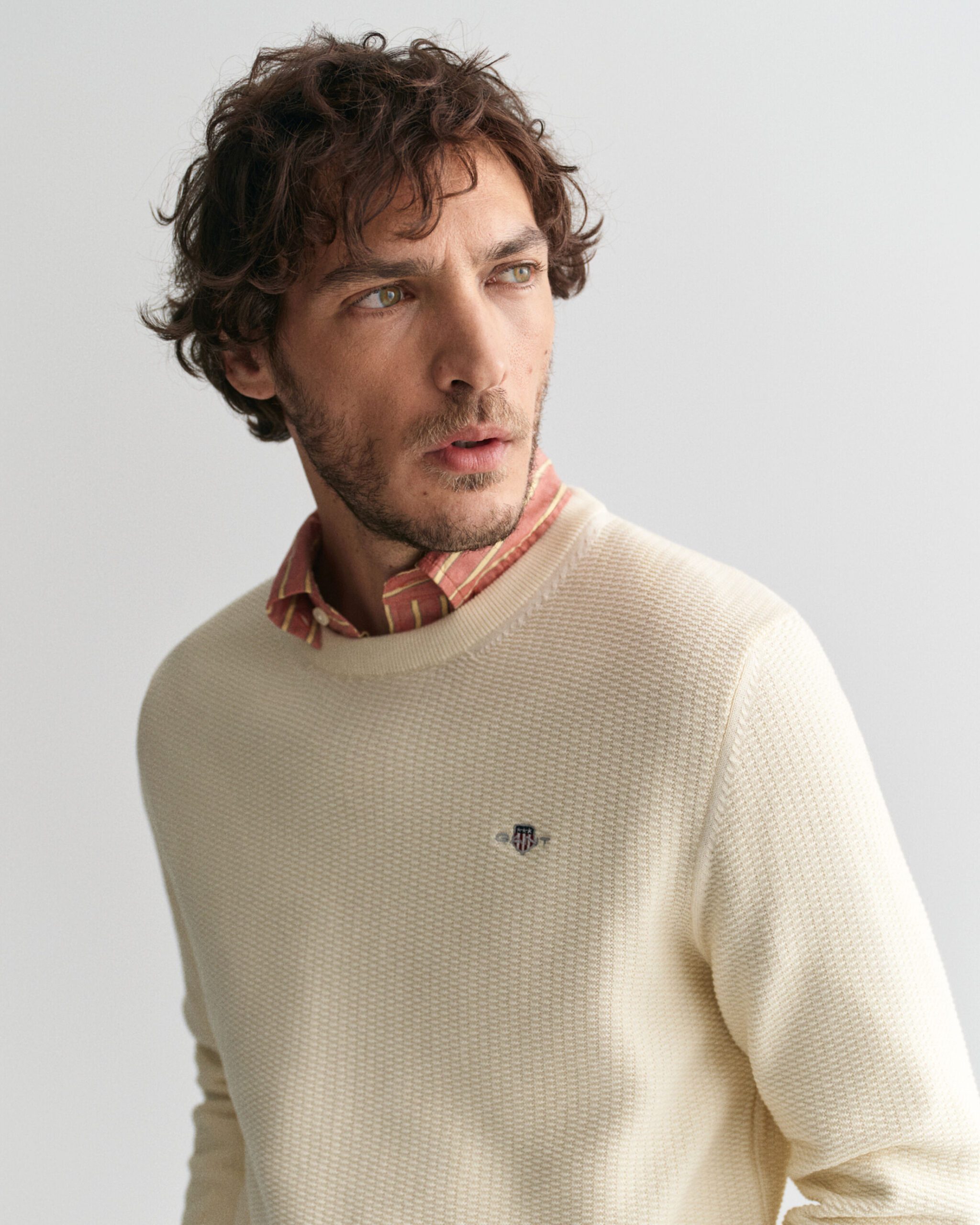 GANT Micro textured cotton crew neck